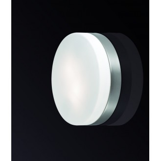 Настенно-потолочный светильник ODEON 2405/2C