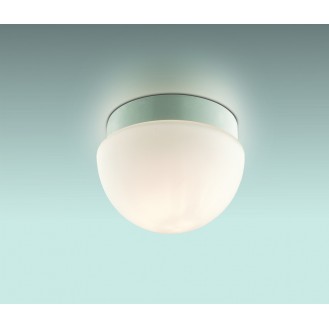 Светильник для ванной ODEON 2443/1B